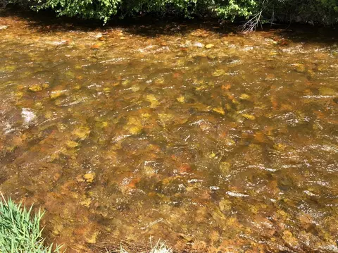 0276 Creek Side Ln, Eagle, CO 81631 photo 5