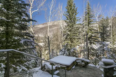 185 Forest Rd, Vail, CO 81657 photo 30