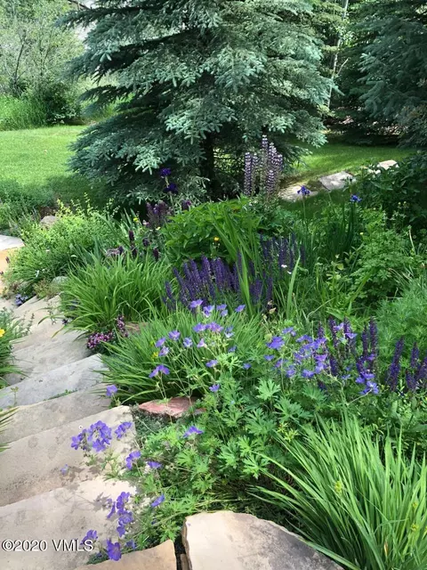799 Potato Patch Dr #B, Vail, CO 81657 photo 29