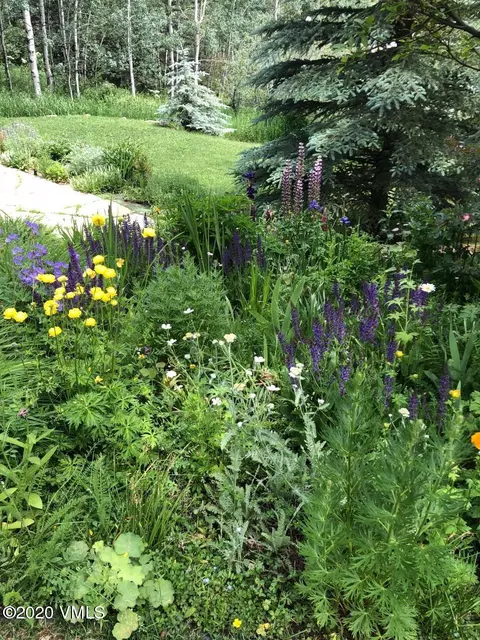 799 Potato Patch Dr #B, Vail, CO 81657 photo 28
