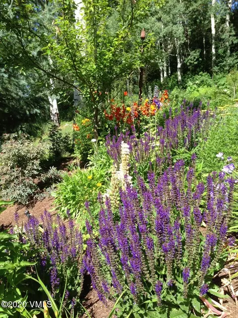 799 Potato Patch Dr #B, Vail, CO 81657 photo 27