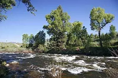 37 Eagle River Rd, Edwards, CO 81632 photo 3