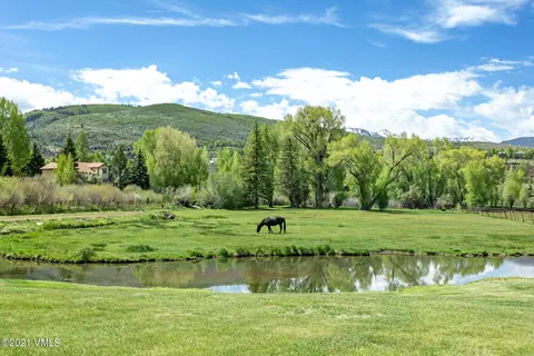 385 Edwards Access Rd, Edwards, CO 81632 photo 14