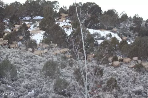 1168 Hernage Creek Rd, Eagle, CO 81631 photo 22