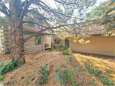 755 Bull Run, Eagle, CO 81631 photo 5