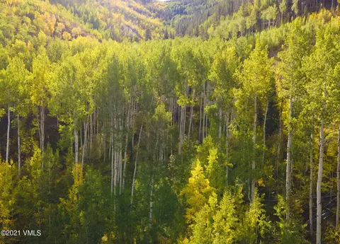 1359 Greenhill Ct #EAST, Vail, CO 81657 photo 17