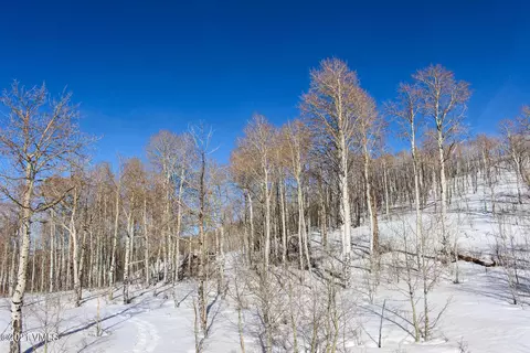 303 Summit Springs Rd, Edwards, CO 81632 photo 24