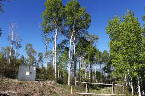 303 Summit Springs Rd, Edwards, CO 81632 photo 19