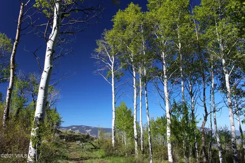 303 Summit Springs Rd, Edwards, CO 81632 photo 11