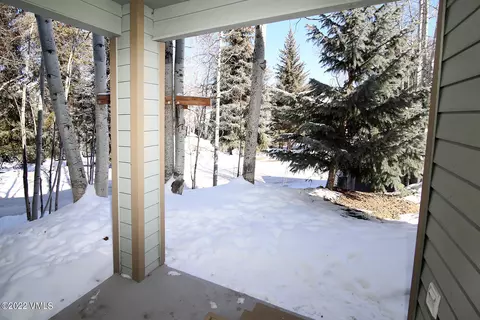 170 Arlington Pl #E1, Edwards, CO 81632 photo 19