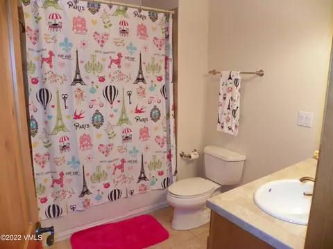 34 Horton St, Eagle, CO 81631 photo 30