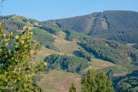 770 Potato Patch #6, Vail, CO 81657 photo 28
