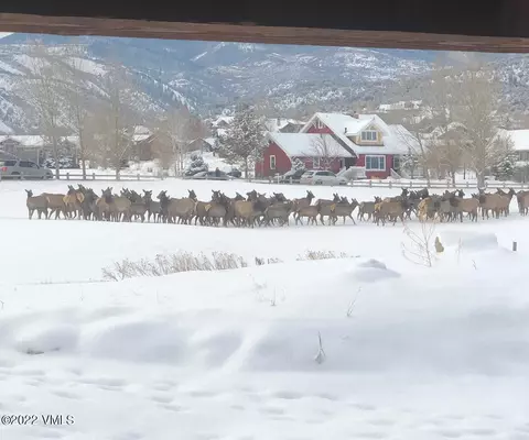 132 Haystacker Dr, Eagle, CO 81631 photo 32