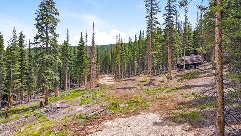80 Taylor Hill Rd, Red Cliff, CO 81649 photo 5