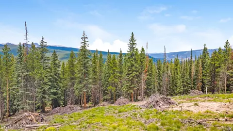 80 Taylor Hill Rd, Red Cliff, CO 81649 photo 6