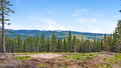80 Taylor Hill Rd, Red Cliff, CO 81649 photo 25
