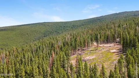 80 Taylor Hill Rd, Red Cliff, CO 81649 photo 3