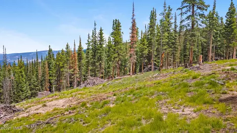 80 Taylor Hill Rd, Red Cliff, CO 81649 photo 7