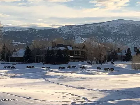 90 Palmer Loop, Eagle, CO 81631 photo 44