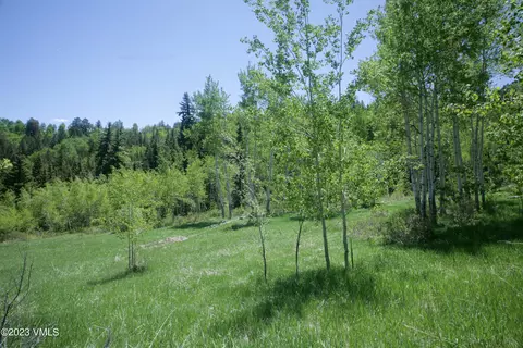 922 Red Draw, Edwards, CO 81632 photo 4