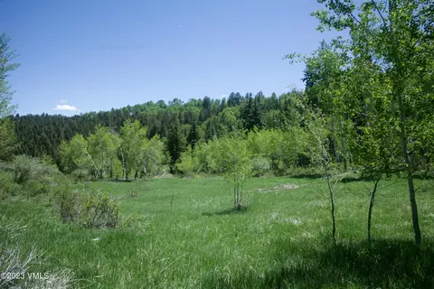 922 Red Draw, Edwards, CO 81632 photo 6