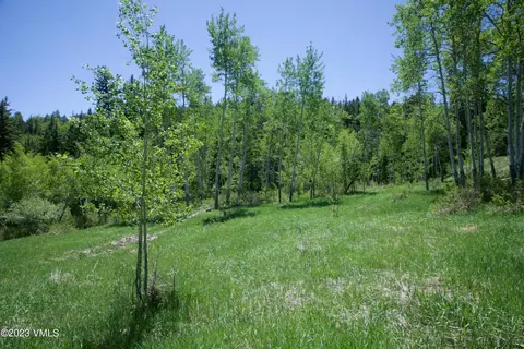 922 Red Draw, Edwards, CO 81632 photo 8