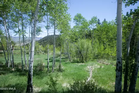 922 Red Draw, Edwards, CO 81632 photo 3