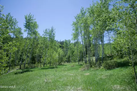 922 Red Draw, Edwards, CO 81632 photo 7