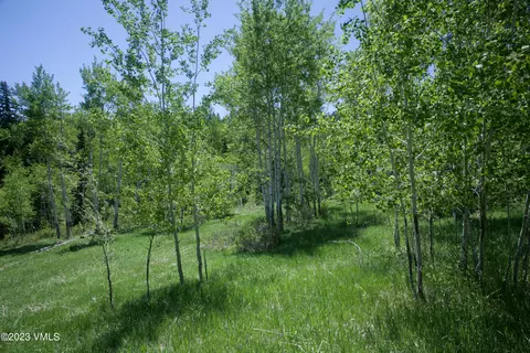 922 Red Draw, Edwards, CO 81632 photo 5