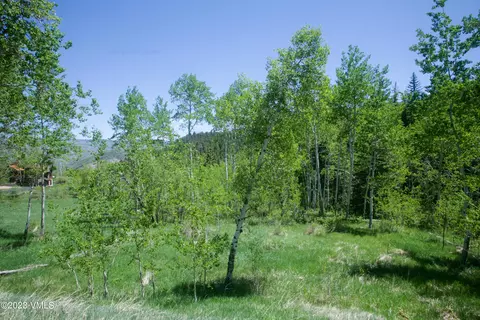 922 Red Draw, Edwards, CO 81632 photo 2