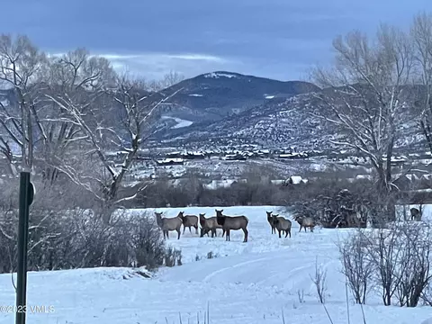 744 Founders Ave, Eagle, CO 81631 photo 27