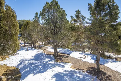 649 Neilson Gulch Rd, Eagle, CO 81631 photo 28