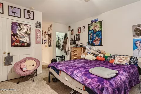 20 Christian Ct, Eagle, CO 81631 photo 21