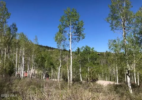 75 W Timber Draw Dr, Edwards, CO 81632 photo 5