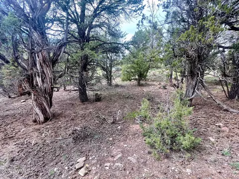 772 Mesa Dr, Eagle, CO 81631 photo 4