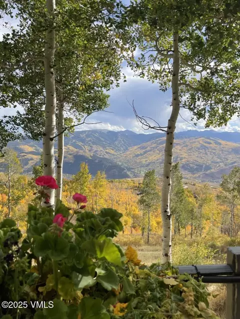 Exterior - 46 Jasmine, Avon, CO 81620 photo 2 of 12
