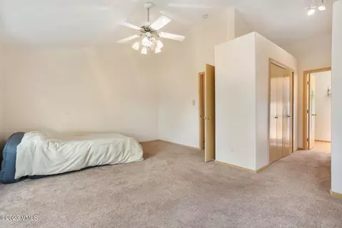 116 Blue Grouse, Eagle, CO 81631 photo 11