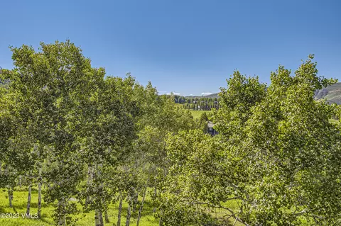 75 Bear Cat Pt, Edwards, CO 81632 photo 48