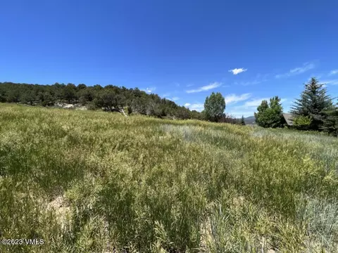 58 Lone Spur, Eagle, CO 81631 photo 3