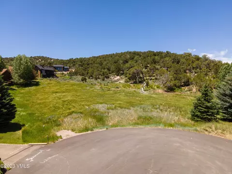 58 Lone Spur, Eagle, CO 81631 photo 8