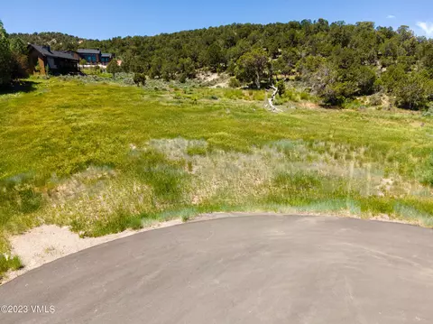 58 Lone Spur, Eagle, CO 81631 photo 19