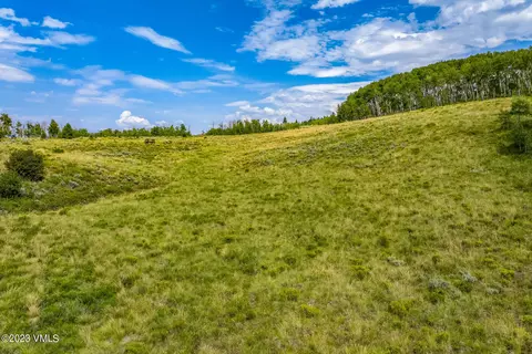 52 Murphys Creek Rd, Edwards, CO 81632 photo 25