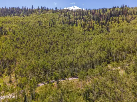 1121 Forest Trl, Edwards, CO 81632 photo 9