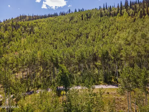 1121 Forest Trl, Edwards, CO 81632 photo 3