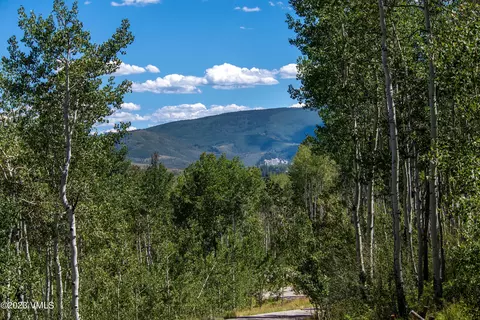 1121 Forest Trl, Edwards, CO 81632 photo 12