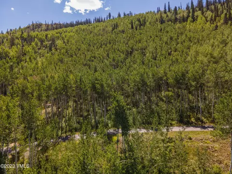1121 Forest Trl, Edwards, CO 81632 photo 10