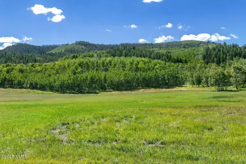 876 Pilgrim Dr, Edwards, CO 81632 photo 60