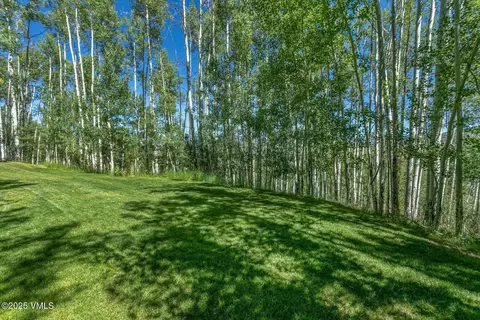 876 Pilgrim Dr, Edwards, CO 81632 photo 53