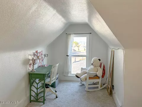 710 Bull Run, Eagle, CO 81631 photo 31