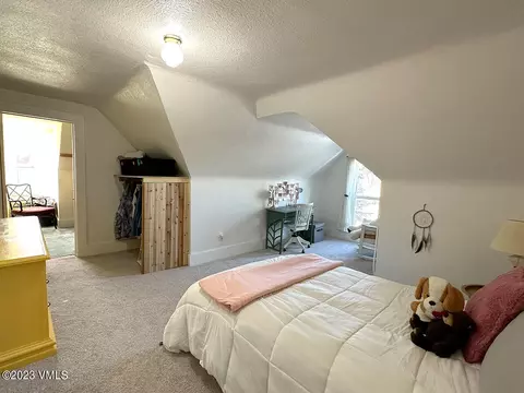 710 Bull Run, Eagle, CO 81631 photo 32